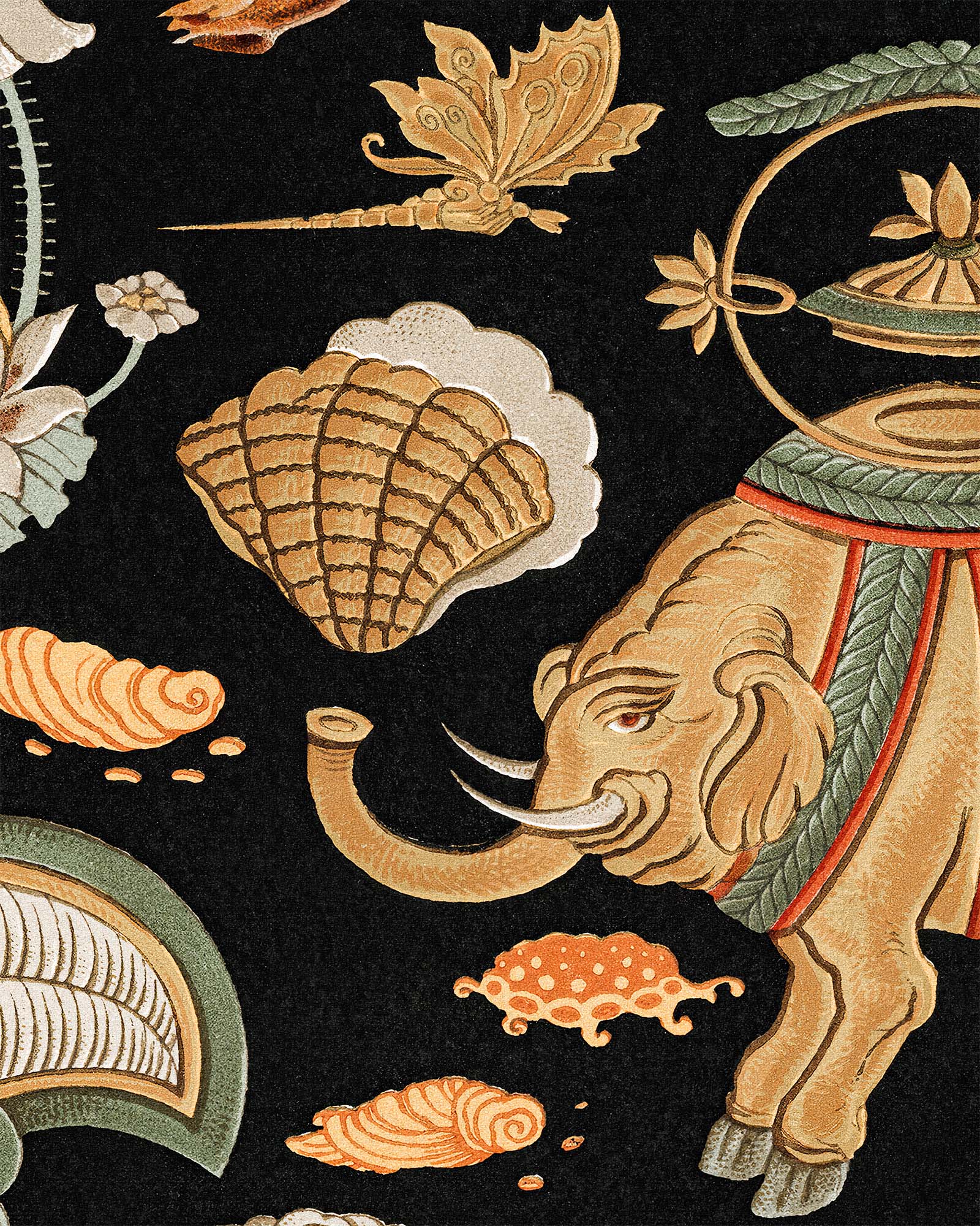 CELESTIAL CURIOSITIES