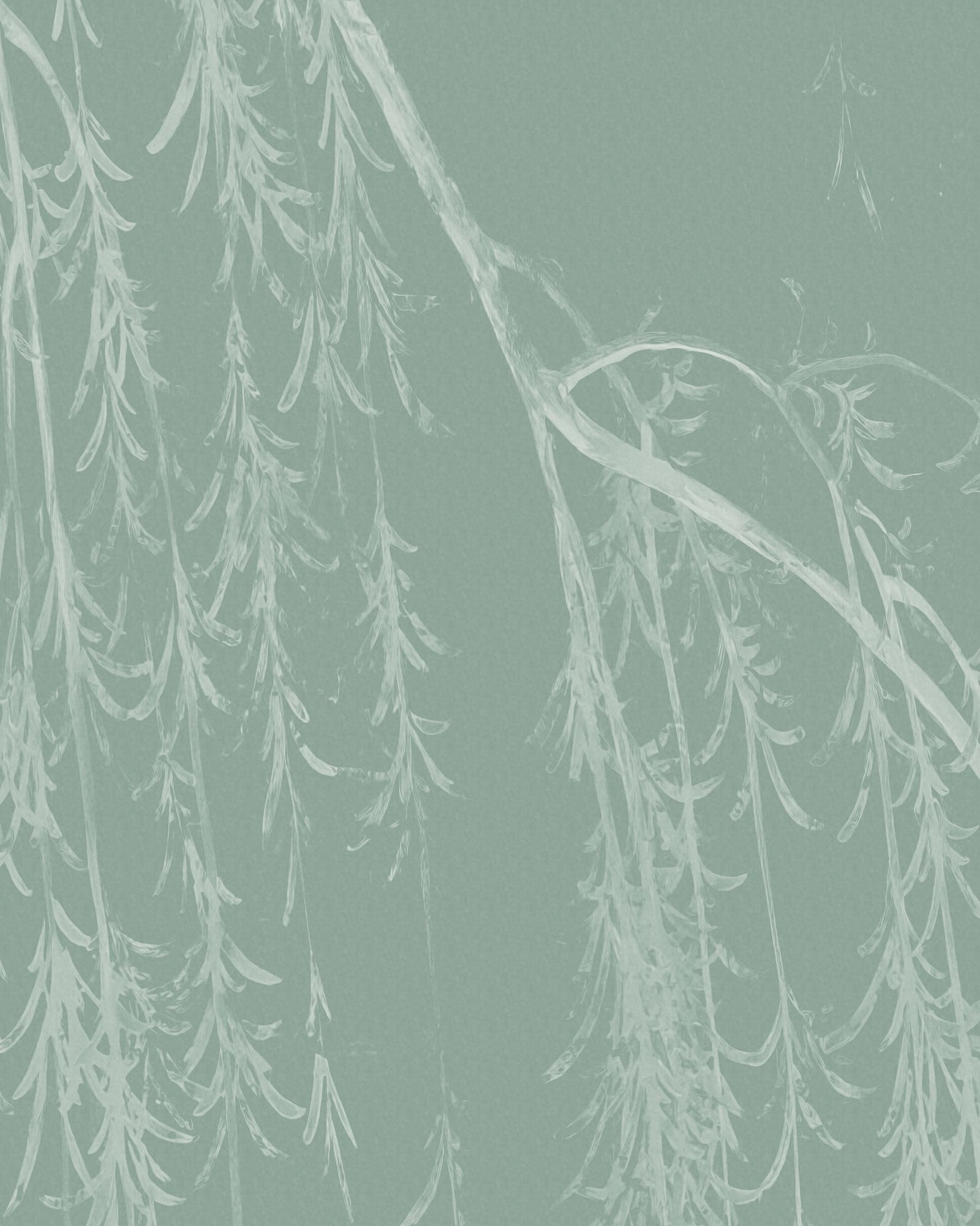 FONDO DE PANTALLA DE GRÚAS VOLADORAS