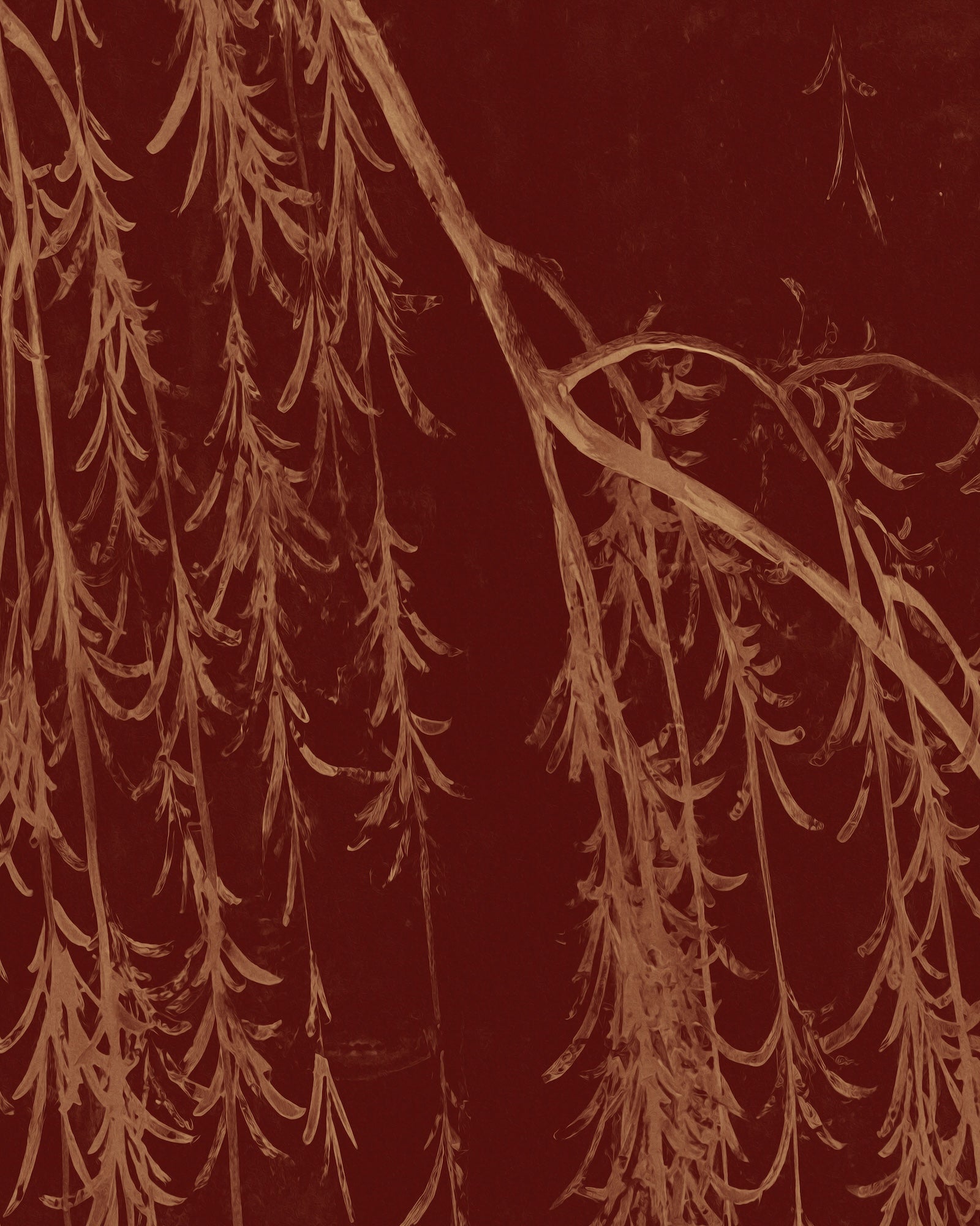 WILLOW WALL MURAL - SET A