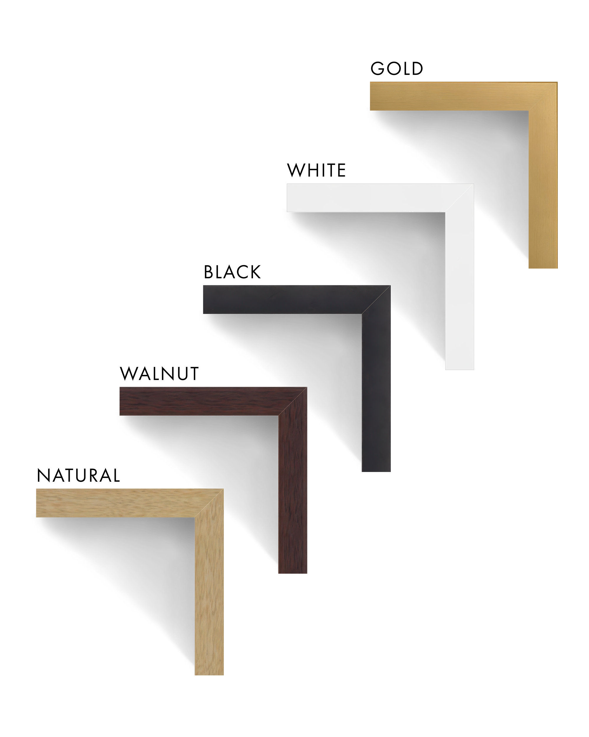 BARLEY FIELD II ART PRINT