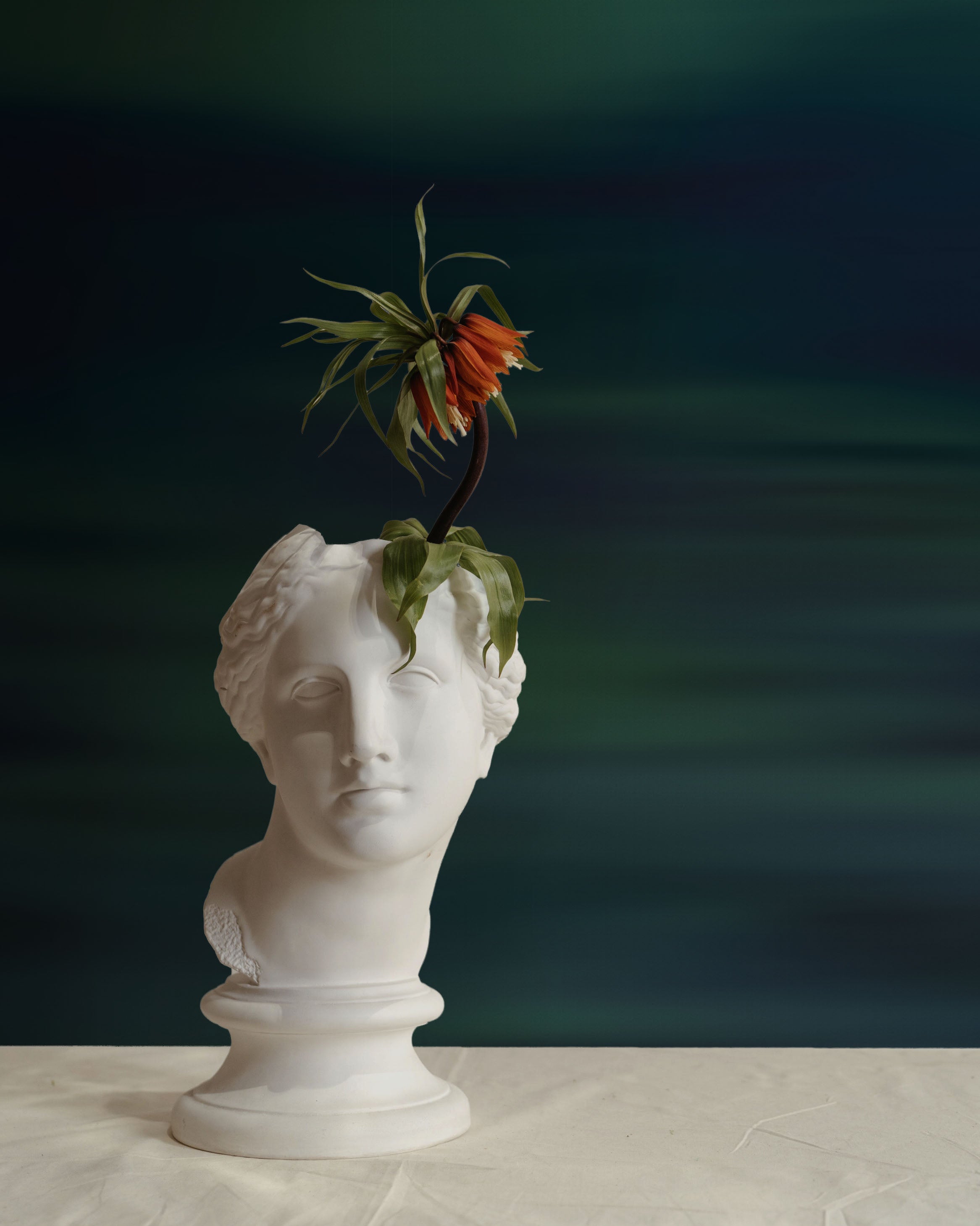 MURAL DE PARED AURORAS