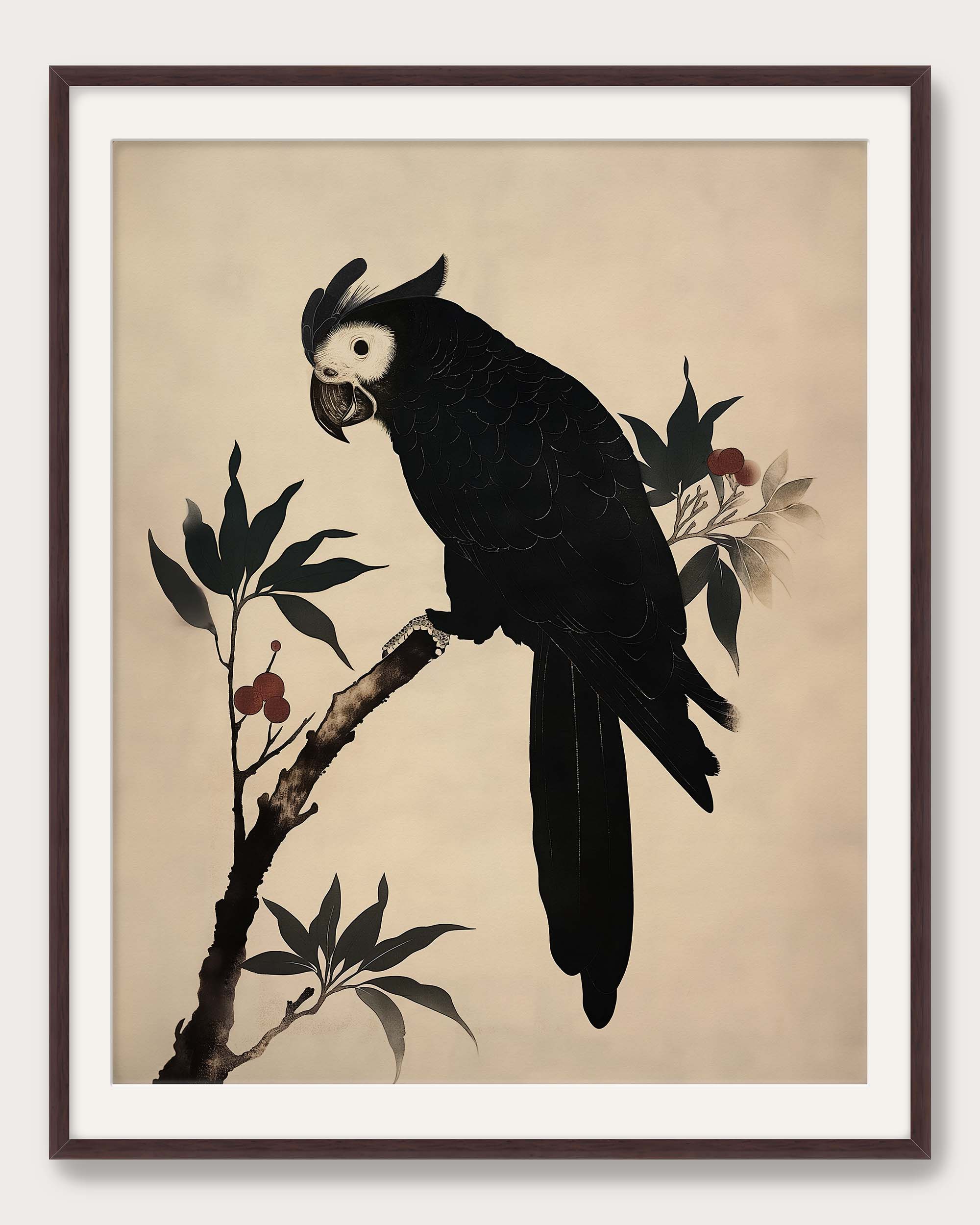 BLACK PARROT