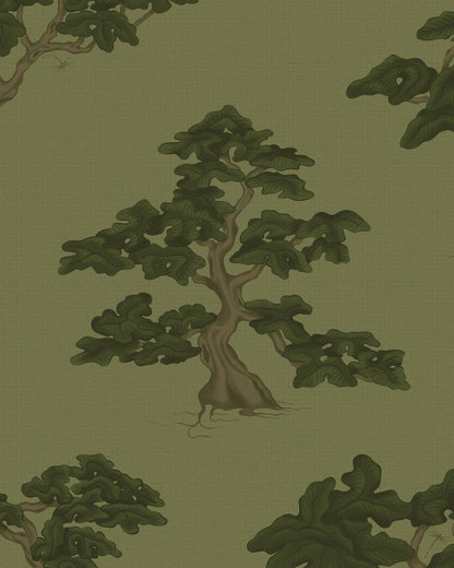 盆景树壁纸