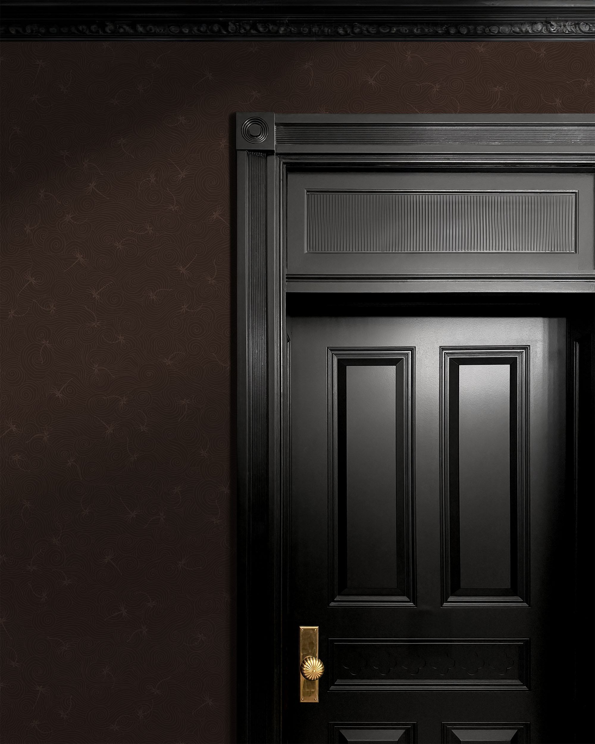 FONDO DE PANTALLA DE LIBÉLULAS