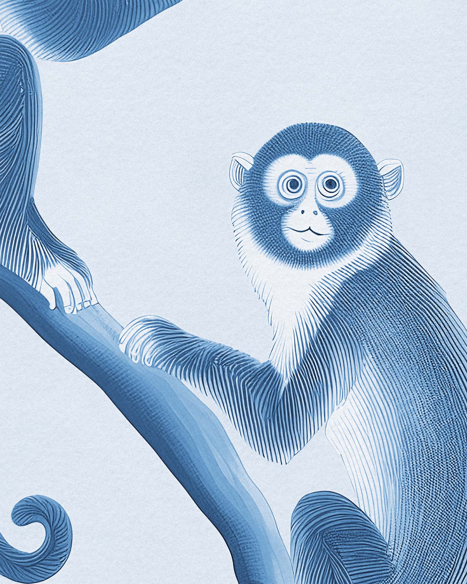 MONKEYS TOILE