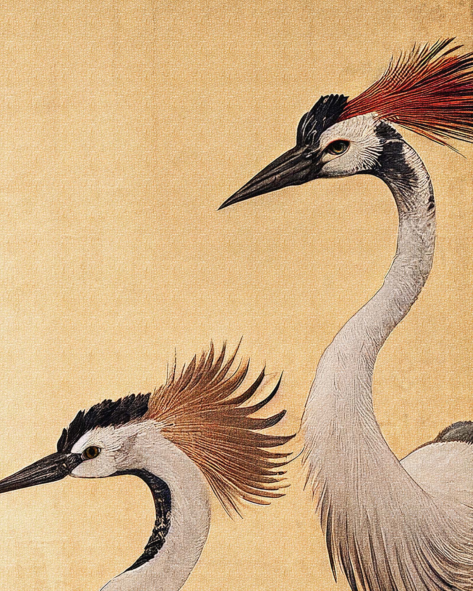 CRANE PAIR II