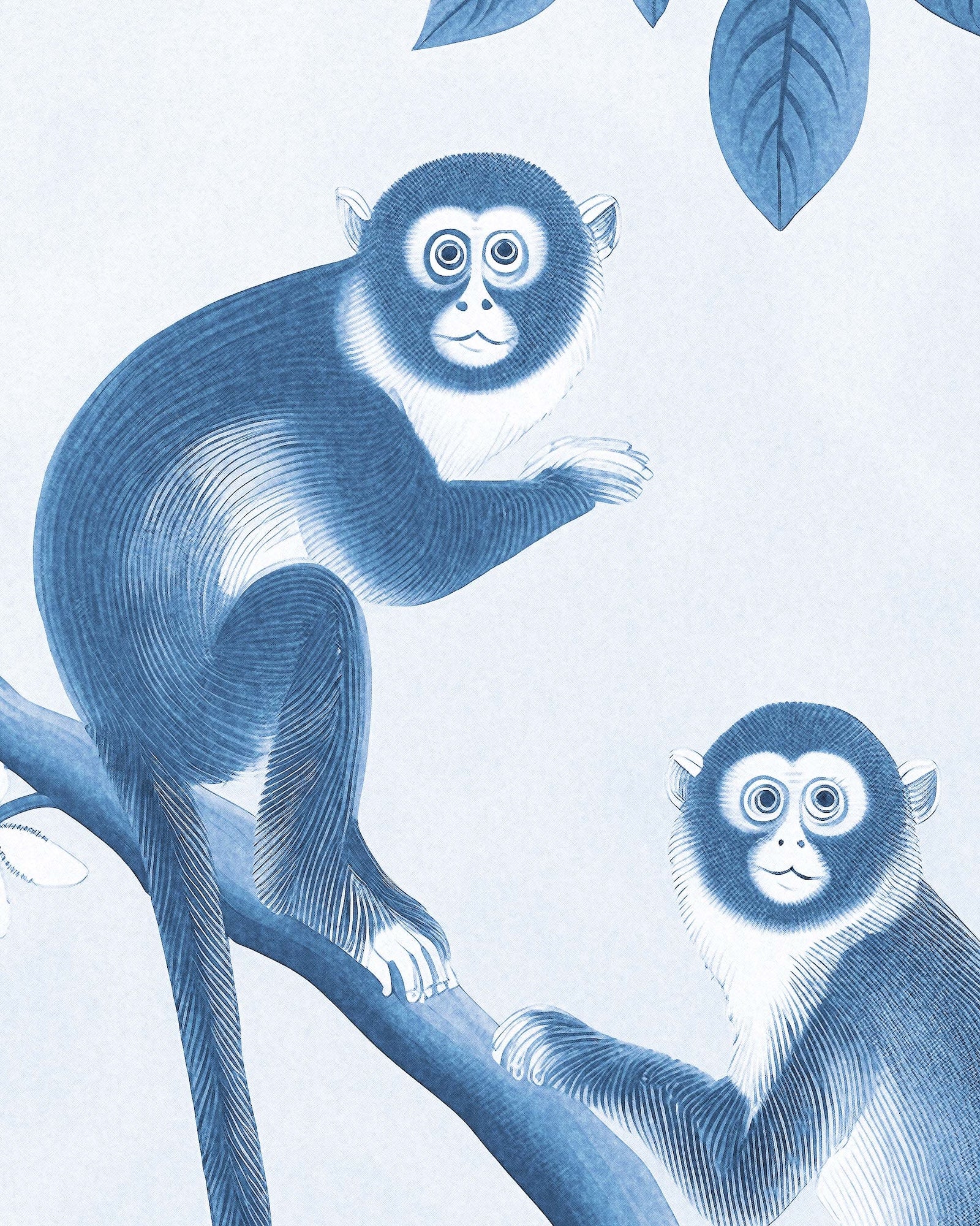 MONKEYS TOILE