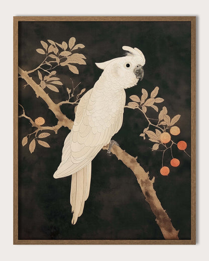 WHITE PARROT